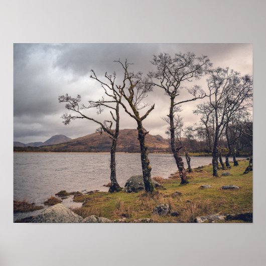 Poster Rivage du château de Kilchurn (Devant)