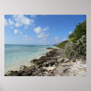 Poster Rivage rocheux - banc de sable de Cocos