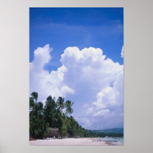 Poster Rivage tropical