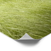 Poster Rive de l'Alaska, grizzli (Coin)