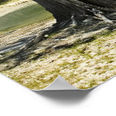 Poster River Beach, Suwannee River, Floride Imprimer (Coin)