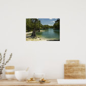 Poster River Beach, Suwannee River, Floride Imprimer (Cuisine)