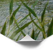 Poster River Murray Australie, Branches de l'arbre, Poste (Coin)