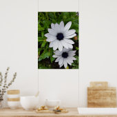 Poster River on white (Cuisine)