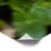 Poster River on white (Coin)