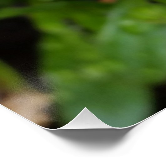 Poster River on white (Coin)