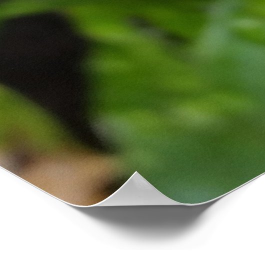 Poster River on white (Coin)