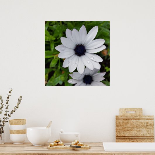 Poster River on white (Cuisine)