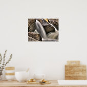 Poster River Rock Wash (Cuisine)