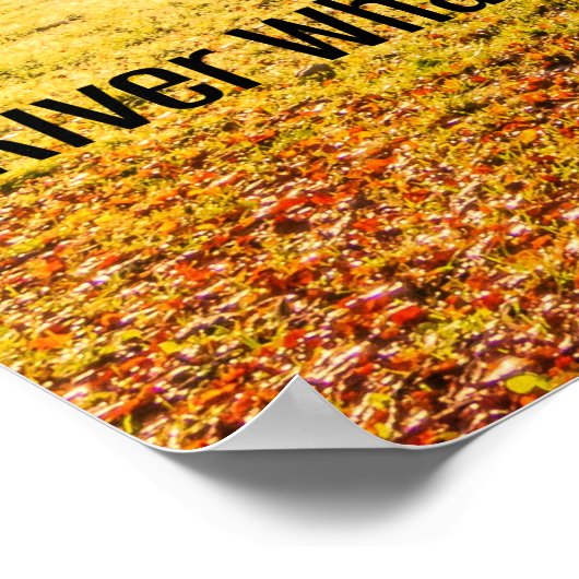 Poster River Wharfe, Yorkshire, (Coin)