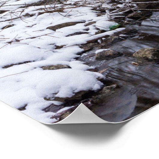 Poster Riverside Snow (Coin)