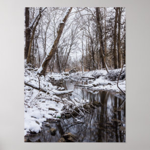Poster Riverside Snow