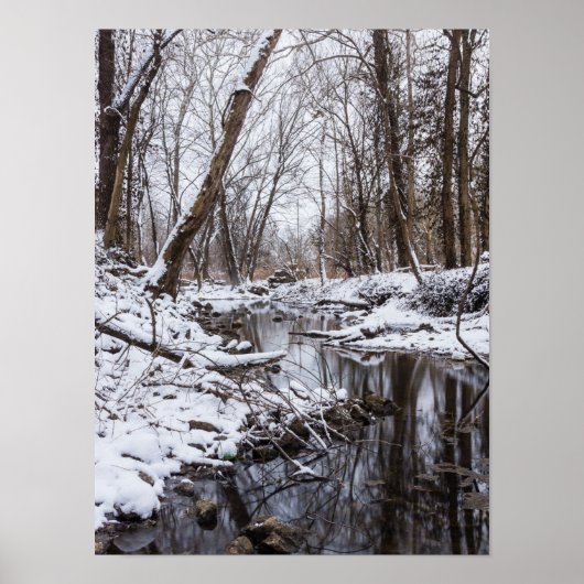 Poster Riverside Snow (Devant)