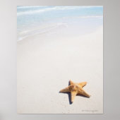 Poster Riviera Maya (Devant)