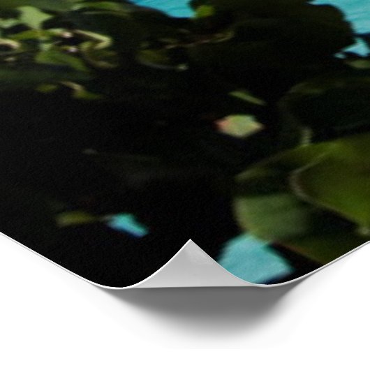 Poster Riviera Maya (Coin)