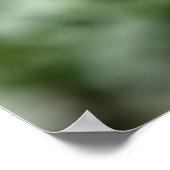 Poster rivière aux fleurs jaunes (Coin)