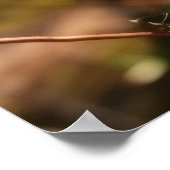 Poster Rivière aux fleurs rose et jaune (Coin)