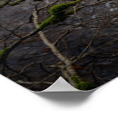 Poster Rivière Bran - Ermitage de Dunkeld (Coin)