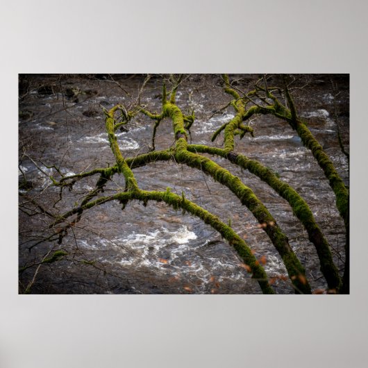 Poster Rivière Bran - Ermitage de Dunkeld (Devant)