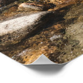 Poster Rivière courante avec eau claire coulant wi (Coin)