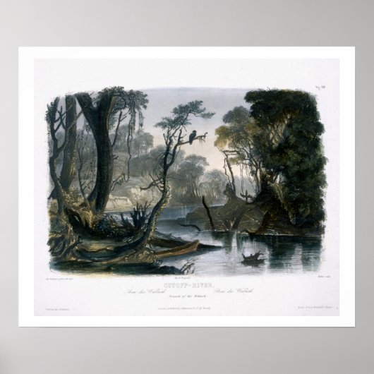 Poster Rivière Cutoff, Branche du Wabash, plaque 8 de V (Devant)
