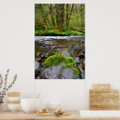 Poster Rivière dans la forêt verte, Oregon (Cuisine)