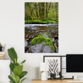 Poster Rivière dans la forêt verte, Oregon (Bureau à domicile)