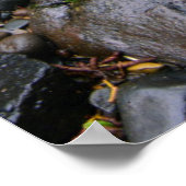 Poster Rivière dans une forêt verte, Oregon (Coin)