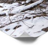 Poster Rivière des neiges (Coin)