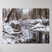 Poster Rivière des neiges (Devant)