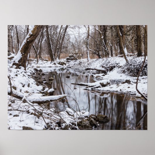 Poster Rivière des neiges (Devant)