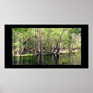 Poster Rivière d'Ichetucknee