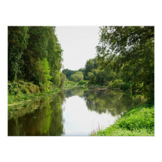 Poster Rivière Dorée Calme