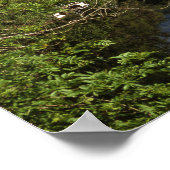 Poster Rivière Lochay Killin Ecosse (Coin)