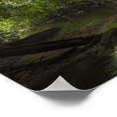 Poster Rivière Mapari, Mapari Rupununi, Guyana. (Coin)