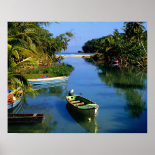 Poster Rivière panoramique près d'Ocho Rios en Jamaïque