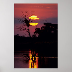 Poster Rivière Sabi au coucher du soleil, Parc national K