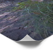 Poster Rivière San Pedro près de Fairbank (Coin)