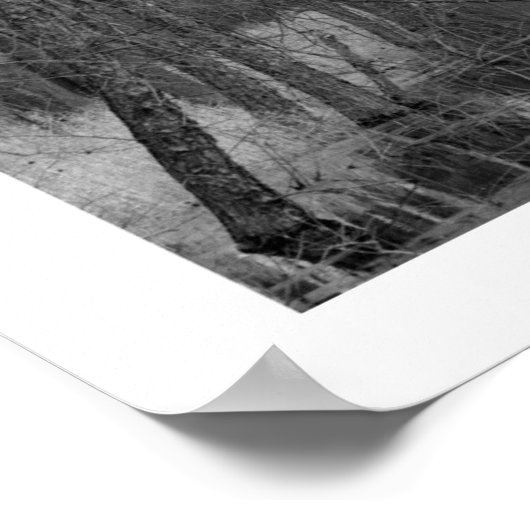 Poster Rivière sans fin (Coin)