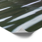 Poster "Rivière Sérénité : Capybaras nageant dans le cour (Coin)