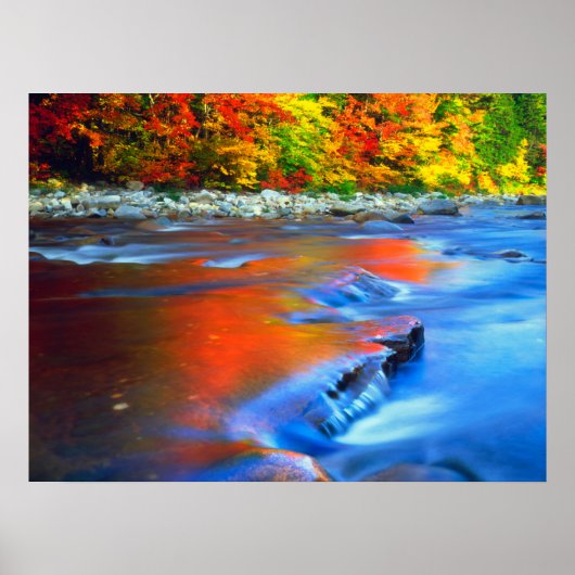 Poster Rivière Swift reflétant les couleurs d'automne (Devant)
