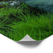 Poster Rivière Tranquille (Coin)