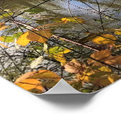 Poster Rivière Tualatin, Oregon (Coin)