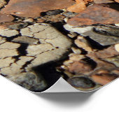 Poster Rivières Rocks (Coin)