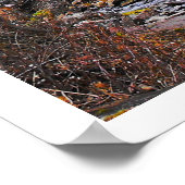 Poster Rivières Vivre Eau Inspiration Bible Citation (Coin)