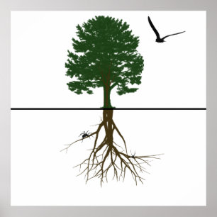 Poster Riyah-Li conçoit des racines