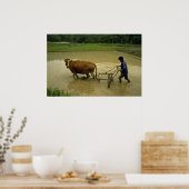 Poster Riz (Cuisine)