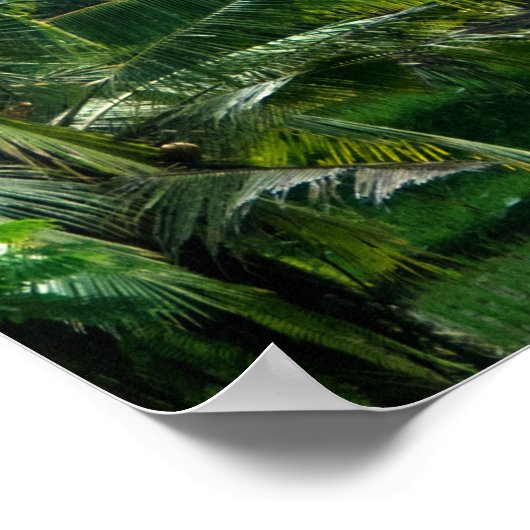 Poster Riz Fields Bali Indonésie (Coin)