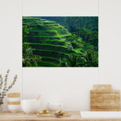 Poster Riz Fields Bali Indonésie (Cuisine)