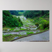 Poster Rizières de Banaue, Luzon (Devant)